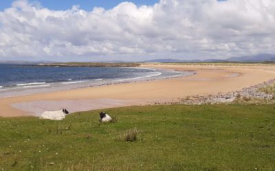 Dragons in the Valley – Loop Walk Achill